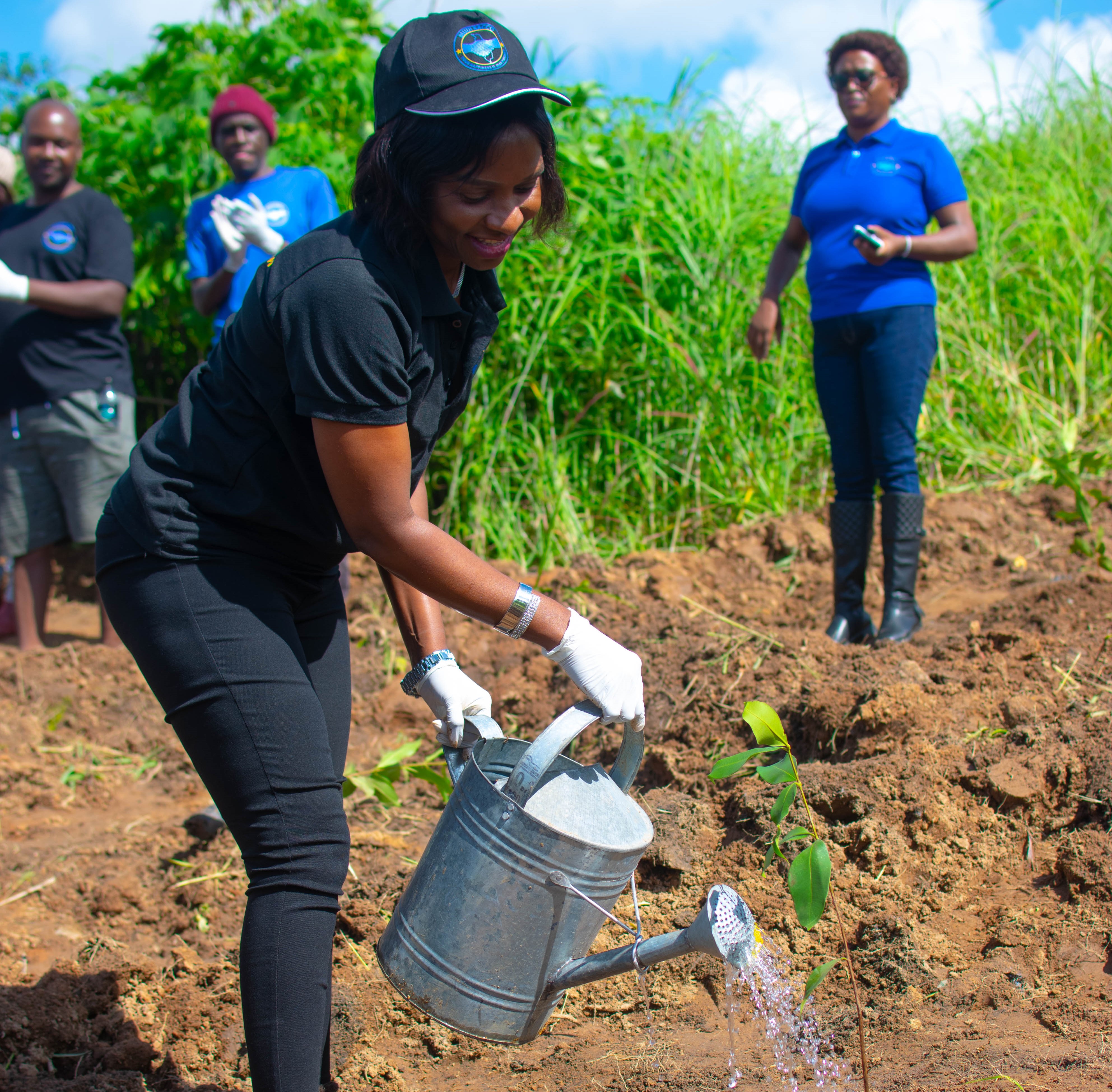 Tree Planting